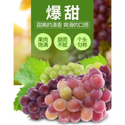 浦江巨峰葡萄新鲜水果夏黑葡萄提子红提5斤